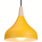 Modern Teardrop Pendant Light | Metal & Wood Hanging Lamp